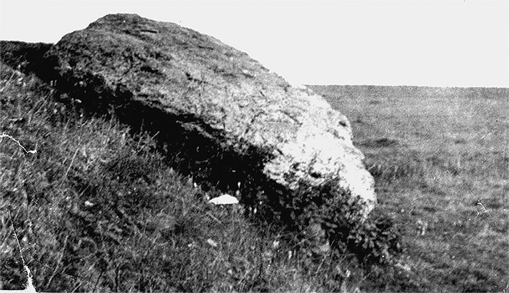 Иллюстрация к книге — Русь колыбельная. Северная прародина славян. Арктида, Гиперборея и Древняя Русь [i_020.jpg]