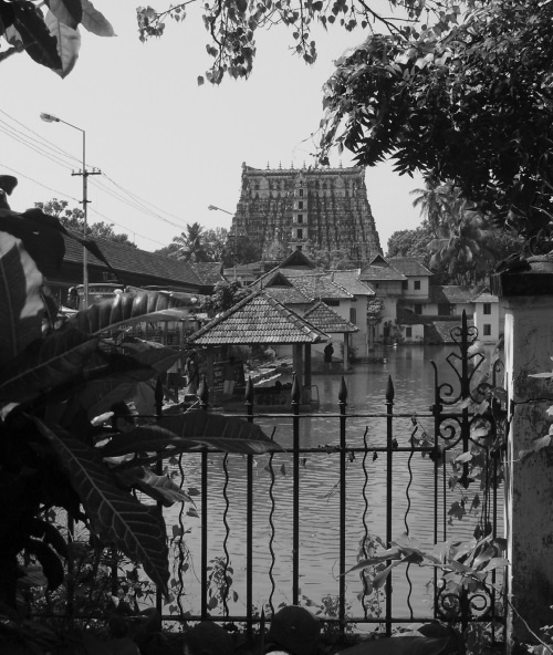 Иллюстрация к книге — Тайны русских волхвов. Чудеса и загадки языческой Руси [i_025.jpg]