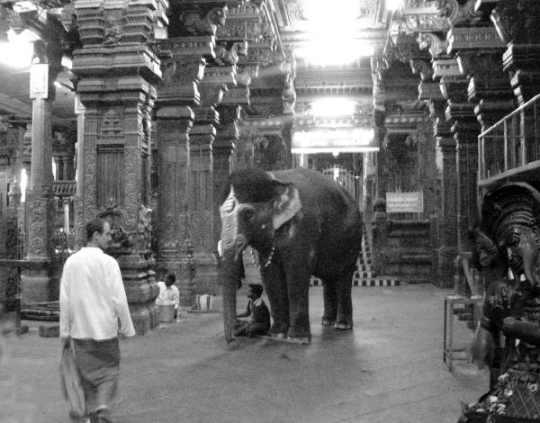 Иллюстрация к книге — Тайны русских волхвов. Чудеса и загадки языческой Руси [i_028.jpg]