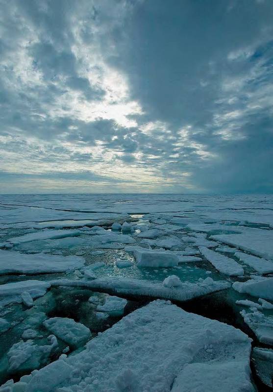 Иллюстрация к книге — 8 полюсов Фредерика Паулсена. Путешествие в мир холода [i_002.jpg]