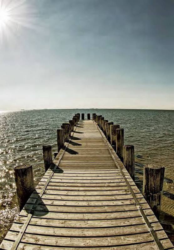 Иллюстрация к книге — 8 полюсов Фредерика Паулсена. Путешествие в мир холода [i_024.jpg]