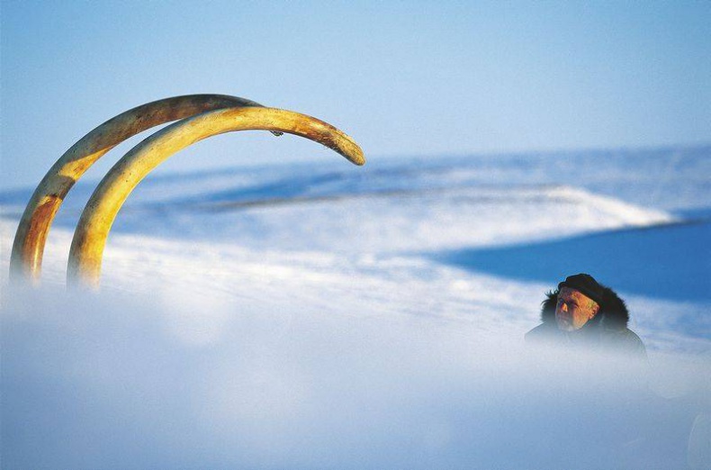 Иллюстрация к книге — 8 полюсов Фредерика Паулсена. Путешествие в мир холода [i_043.jpg]