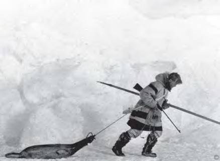 Иллюстрация к книге — 8 полюсов Фредерика Паулсена. Путешествие в мир холода [i_095.jpg]