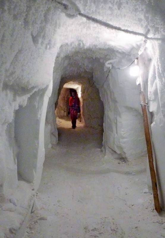 Иллюстрация к книге — 8 полюсов Фредерика Паулсена. Путешествие в мир холода [i_105.jpg]