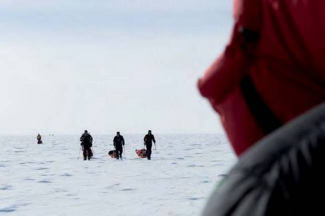 Иллюстрация к книге — 8 полюсов Фредерика Паулсена. Путешествие в мир холода [i_145.jpg]