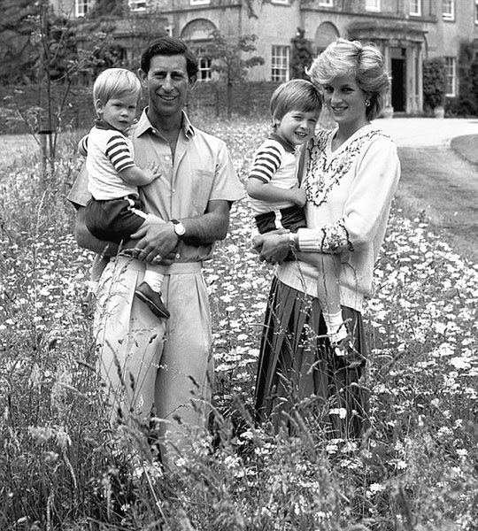 Иллюстрация к книге — Диана и Чарльз. Одинокая принцесса любит принца... [block_001208_page_121_image_0001.jpg]