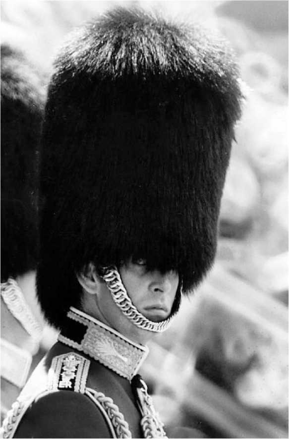 Иллюстрация к книге — Леди Диана. Принцесса людских сердец [i_037.jpg]