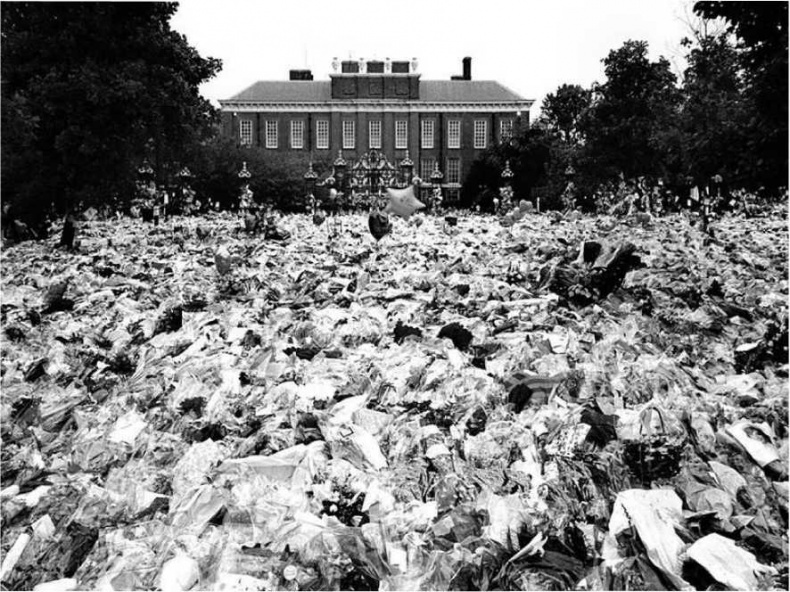 Иллюстрация к книге — Леди Диана. Принцесса людских сердец [i_107.jpg]