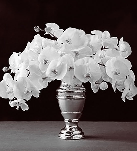 Иллюстрация к книге — Грета Гарбо. Исповедь падшего ангела [i_077.jpg]