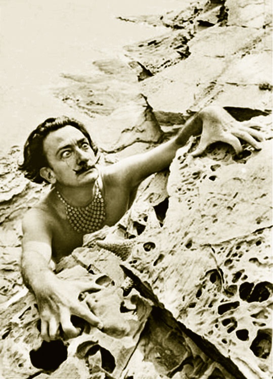 Иллюстрация к книге — Гала. Как сделать гения из Сальвадора Дали [i_112.jpg]