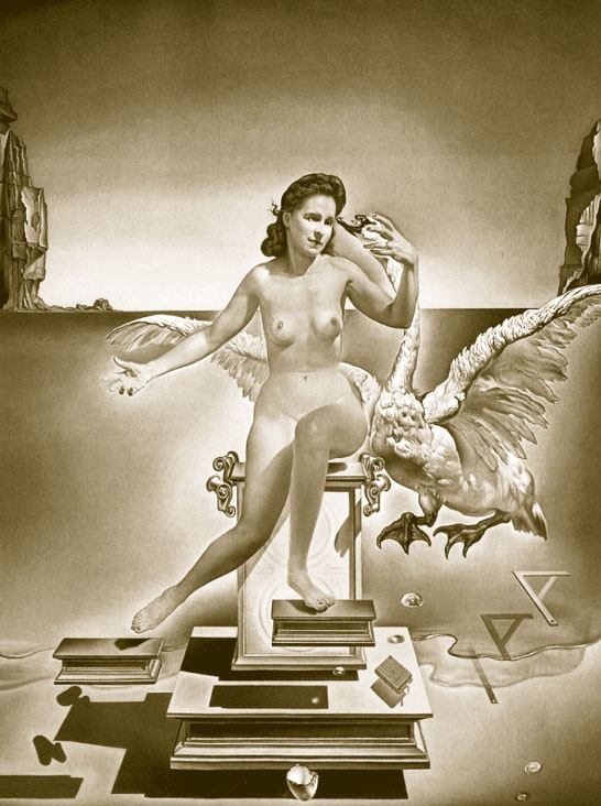 Иллюстрация к книге — Гала. Как сделать гения из Сальвадора Дали [i_132.jpg]