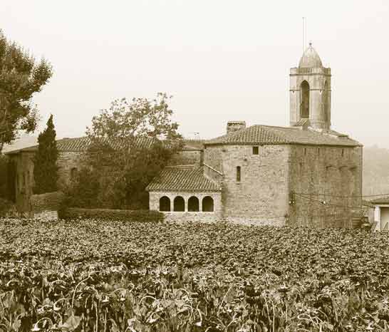 Иллюстрация к книге — Гала. Как сделать гения из Сальвадора Дали [i_135.jpg]