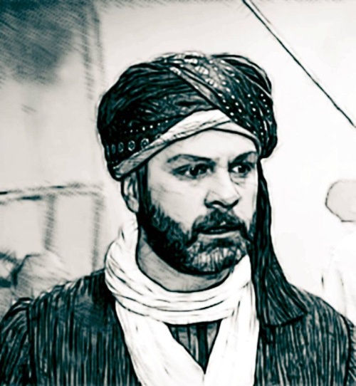 Иллюстрация к книге — Великолепный век. Все тайны знаменитого сериала [i_109.jpg]