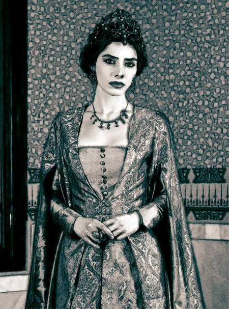 Иллюстрация к книге — Великолепный век. Все тайны знаменитого сериала [i_150.jpg]