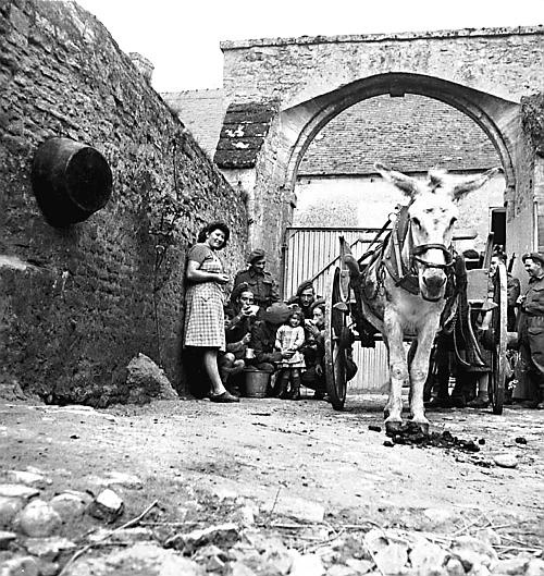 Иллюстрация к книге — Одри Хепберн. Откровения о жизни, грусти и любви [_23.jpg]