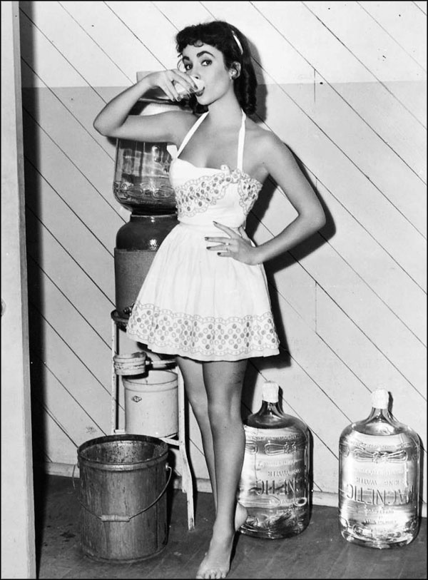 Иллюстрация к книге — Элизабет Тейлор. Клеопатра Голливуда [_107.jpg]