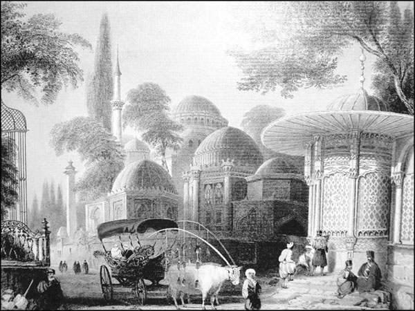 Иллюстрация к книге — Мерьем Узерли. Актрисы &quot;Великолепного века&quot; [_227.jpg]