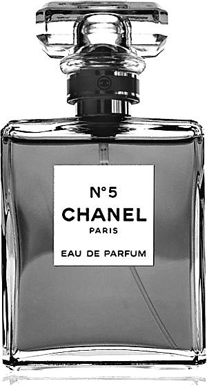 Иллюстрация к книге — Коко Шанель. Я и мои мужчины [_75.jpg]