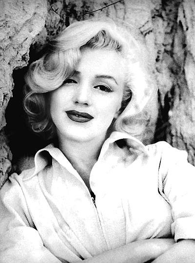 Иллюстрация к книге — Мэрилин Монро. Жизнь в мире мужчин [i_001.jpg]