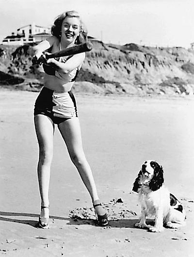 Иллюстрация к книге — Мэрилин Монро. Жизнь в мире мужчин [i_066.jpg]