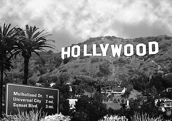 Иллюстрация к книге — Мэрилин Монро. Жизнь в мире мужчин [i_089.jpg]