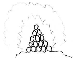 Иллюстрация к книге — Привет! Это я... [i_102.jpg]