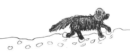 Иллюстрация к книге — Привет! Это я... [i_153.jpg]