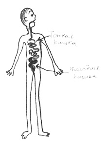 Иллюстрация к книге — Привет! Это я... [i_271.jpg]