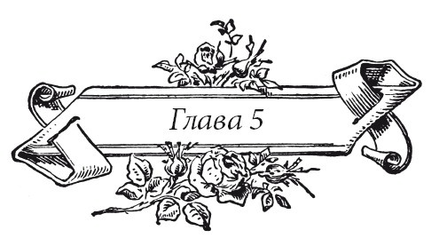 Иллюстрация к книге — Венецианский контракт [i_009.jpg]