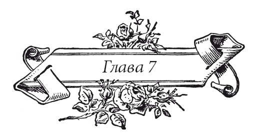 Иллюстрация к книге — Венецианский контракт [i_011.jpg]