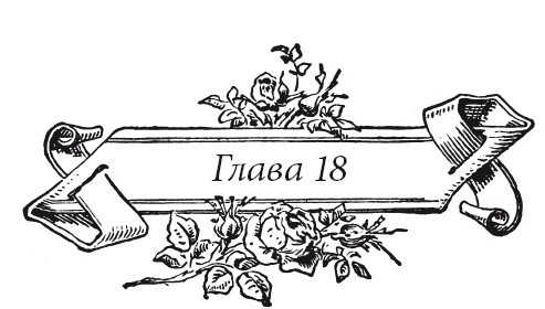 Иллюстрация к книге — Венецианский контракт [i_024.jpg]