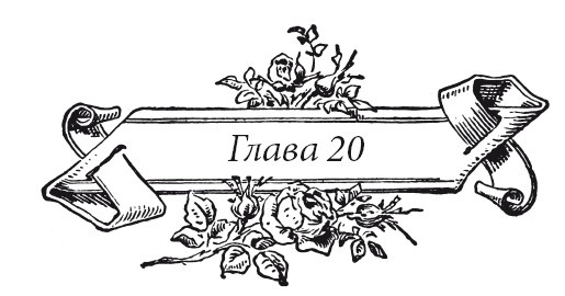 Иллюстрация к книге — Венецианский контракт [i_026.jpg]