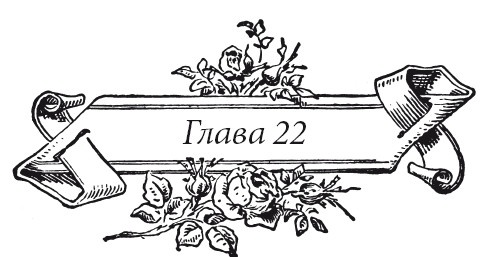 Иллюстрация к книге — Венецианский контракт [i_028.jpg]