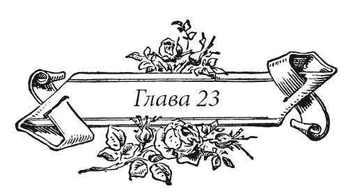 Иллюстрация к книге — Венецианский контракт [i_029.jpg]