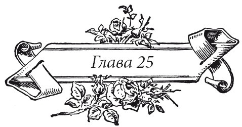 Иллюстрация к книге — Венецианский контракт [i_031.jpg]