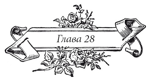 Иллюстрация к книге — Венецианский контракт [i_036.jpg]