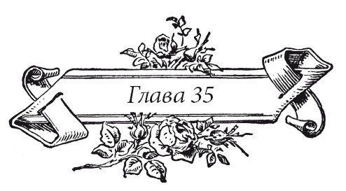 Иллюстрация к книге — Венецианский контракт [i_043.jpg]