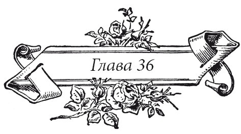 Иллюстрация к книге — Венецианский контракт [i_046.jpg]