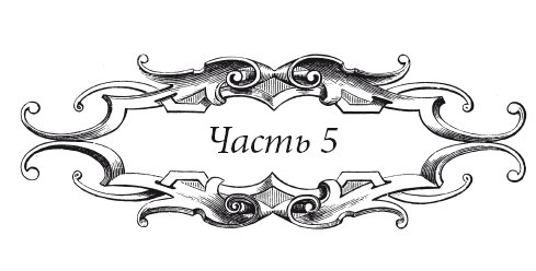 Иллюстрация к книге — Венецианский контракт [i_051.jpg]