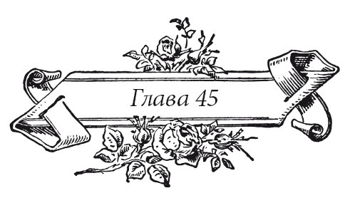 Иллюстрация к книге — Венецианский контракт [i_057.jpg]