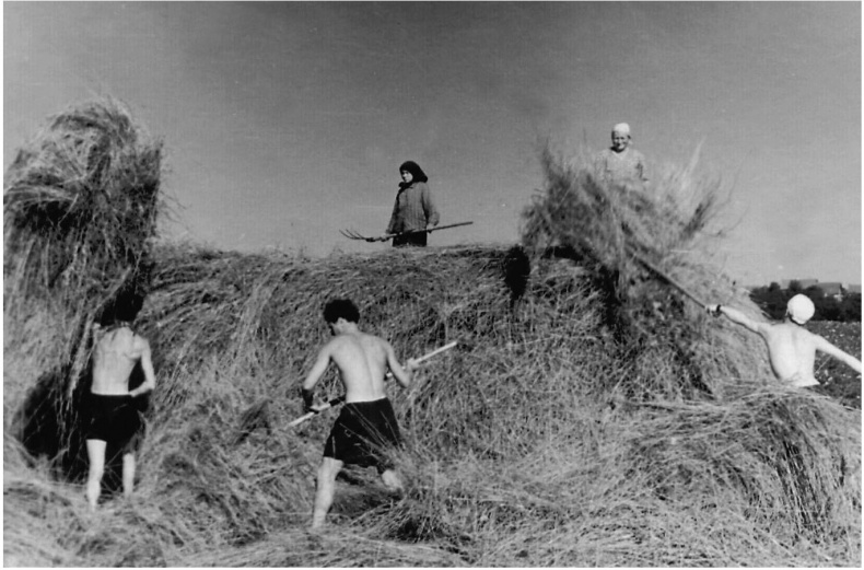 Иллюстрация к книге — Мужчина и женщина. Тело, мода, культура. СССР - оттепель [i_013.jpg]