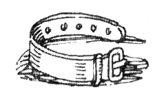 Иллюстрация к книге — Зоопарк в моей квартире [i_008.jpg]