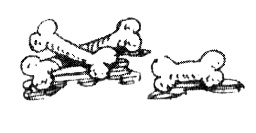 Иллюстрация к книге — Зоопарк в моей квартире [i_015.jpg]