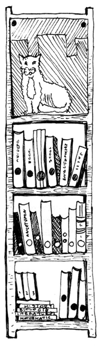 Иллюстрация к книге — Пучеглазый [i_027.jpg]