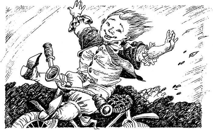 Иллюстрация к книге — Волшебное наследство. Миры Крестоманси. Книга седьмая [i_009.jpg]