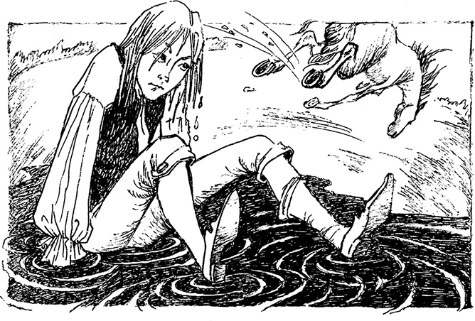 Иллюстрация к книге — Волшебное наследство. Миры Крестоманси. Книга седьмая [i_013.jpg]