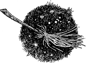 Иллюстрация к книге — Волшебное наследство. Миры Крестоманси. Книга седьмая [i_014.jpg]