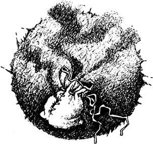 Иллюстрация к книге — Волшебное наследство. Миры Крестоманси. Книга седьмая [i_025.jpg]