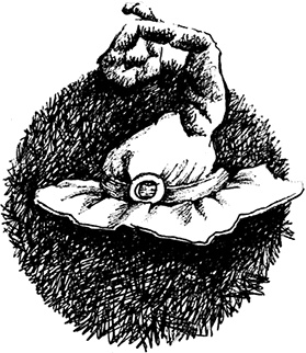 Иллюстрация к книге — Волшебное наследство. Миры Крестоманси. Книга седьмая [i_033.jpg]