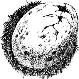 Иллюстрация к книге — Волшебное наследство. Миры Крестоманси. Книга седьмая [i_040.jpg]